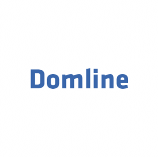 Логотип Domline
